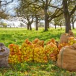 MULL käsitöösiider