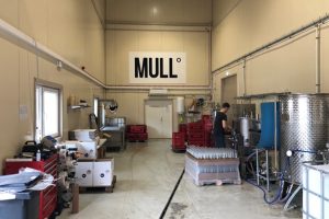mull tehas